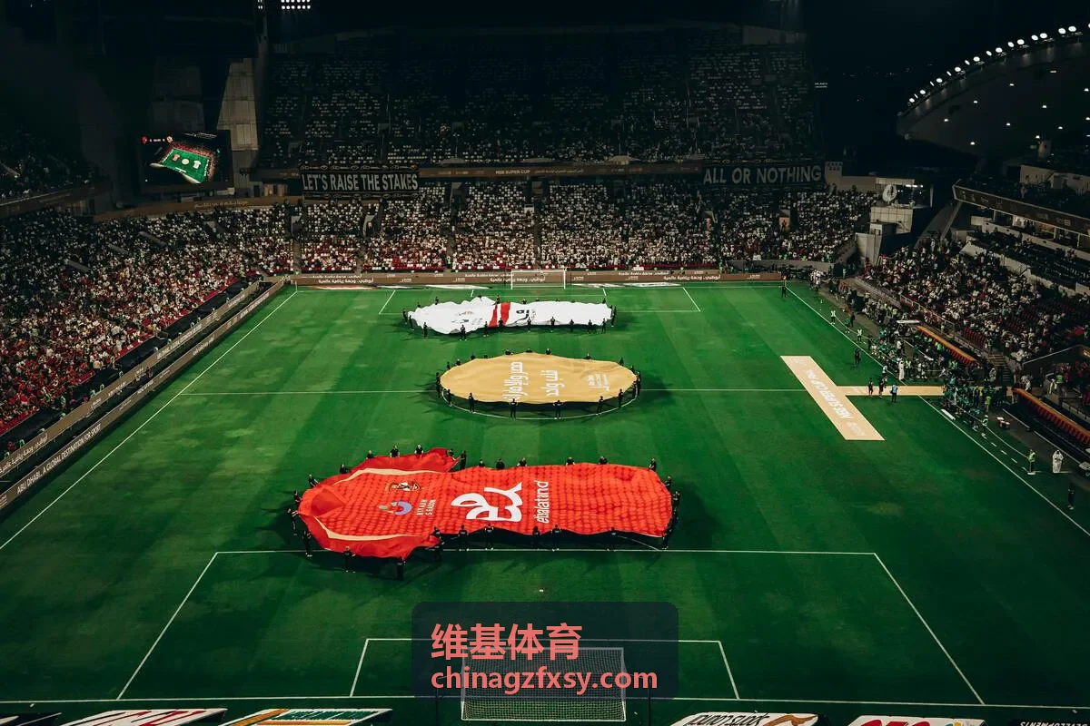 维基体育案例1