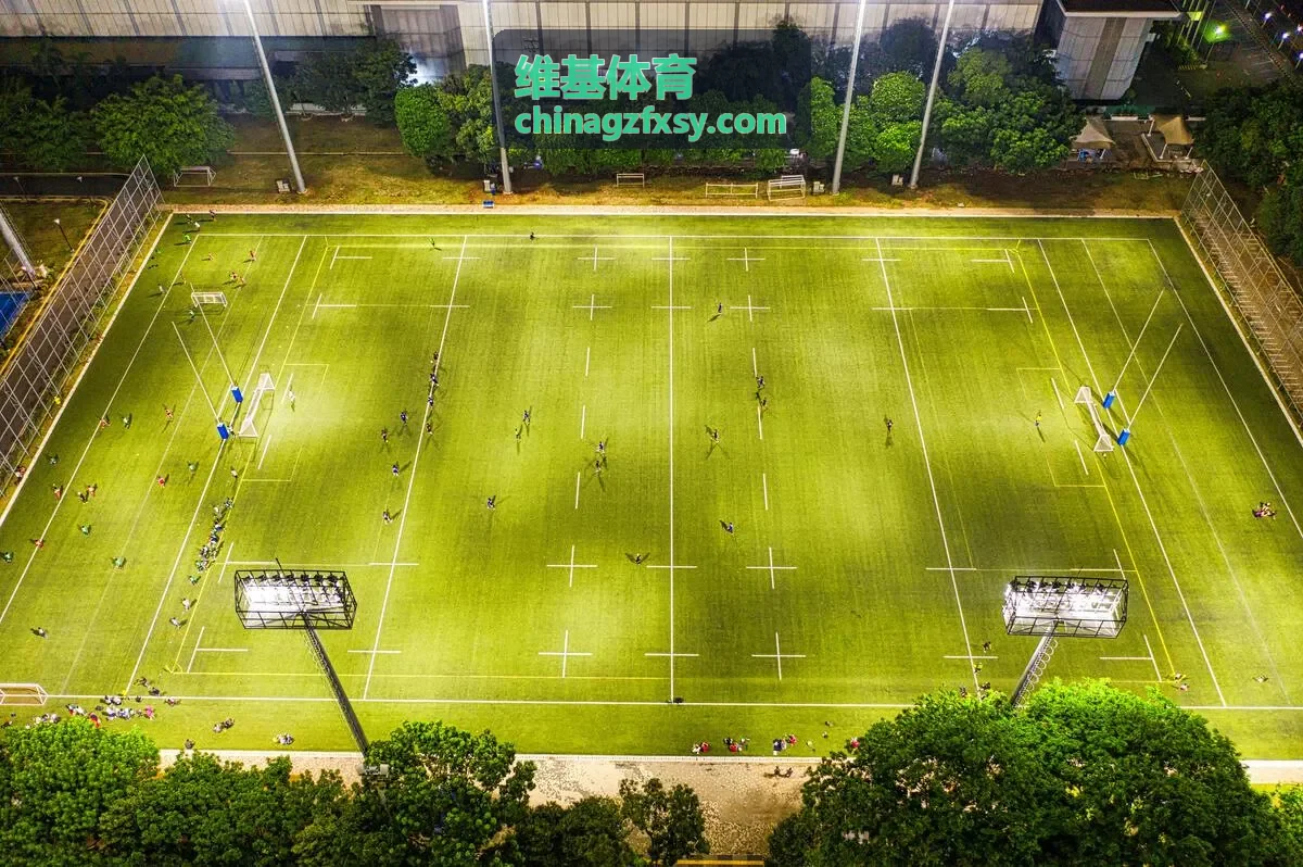 维基体育案例2